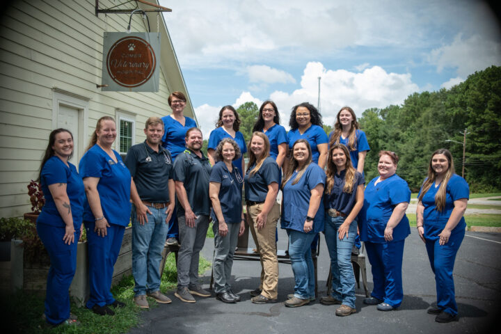 Comer_Veterinary_Hospital